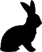klein wild - hazenbout - konijn